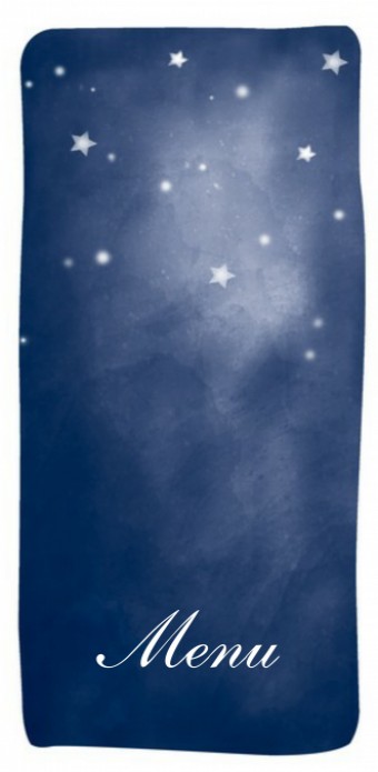 10x21 menukaart - midnight