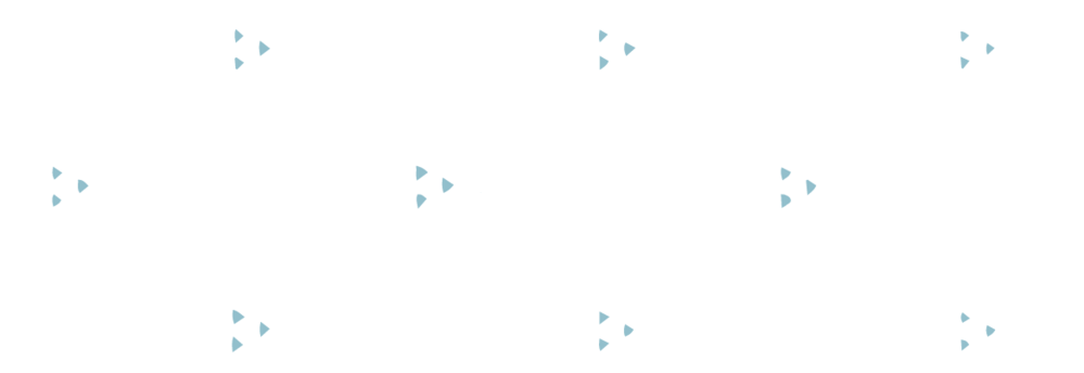 Etiket driehoekjes zee