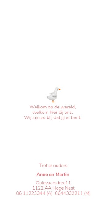 Geboortekaartje achterzijde eendje