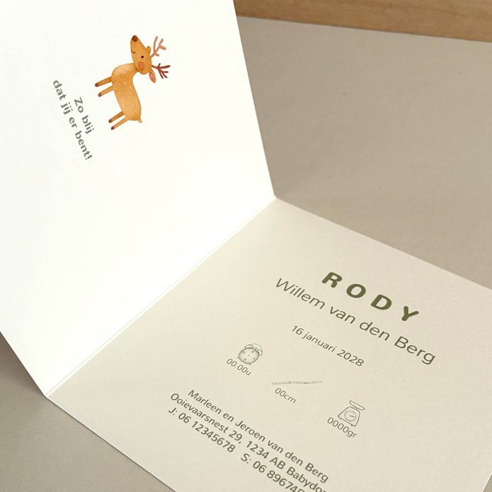 Geboortekaartje winter