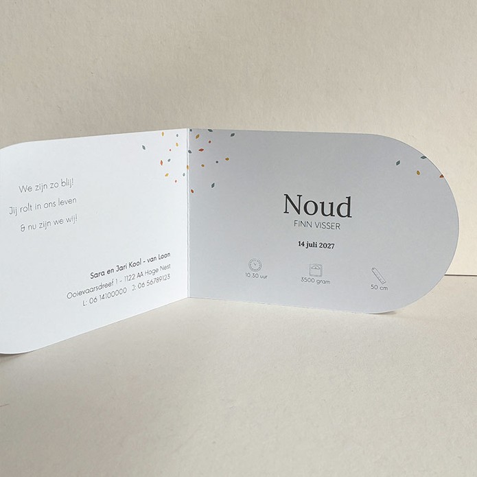 Geboortekaartje ooievaar op een skateboard