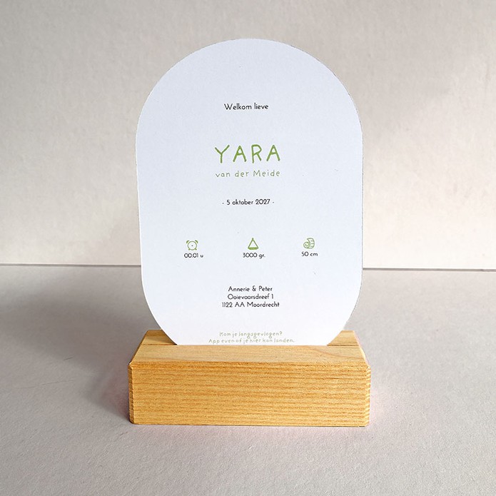 Geboortekaartje luchtballon met ooievaar