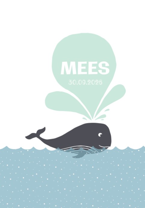 Geboorteposter walvis