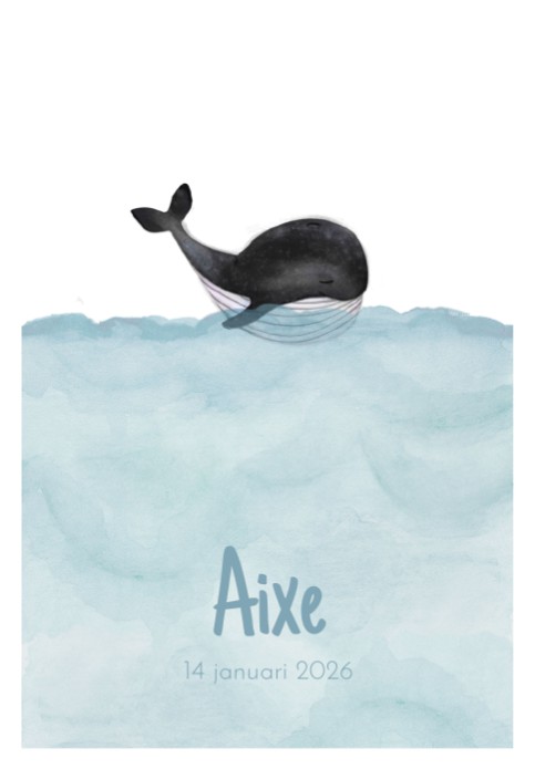 Geboorteposter walvis