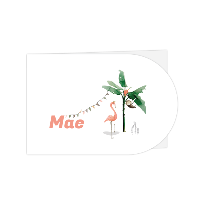 Geboortekaartje met flamingo en aap halfronde vorm