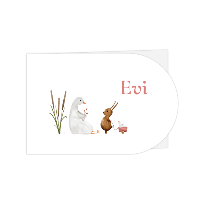 Geboortekaartje halfrond met gansje