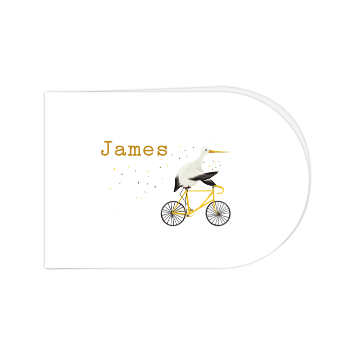 Geboortekaartje halfrond liggend ooievaar