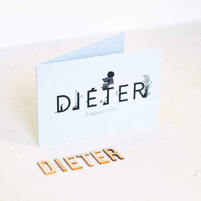 Geboortekaartje jongen 2025