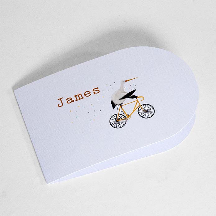 Geboortekaartje ooievaar op fiets jongen