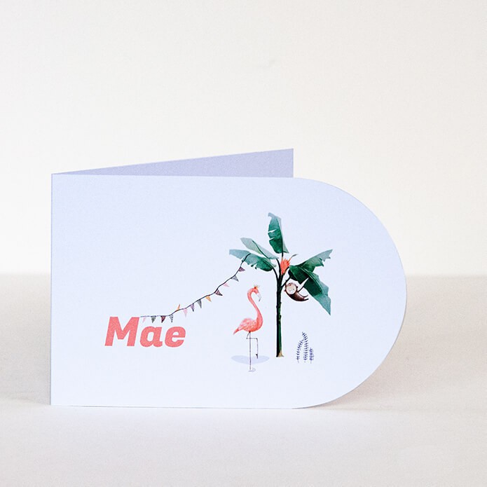Geboortekaartje met aap en flamingo halfronde vorm