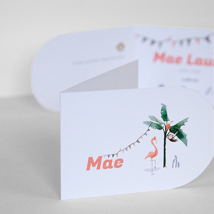 Geboortekaartje met aap en flamingo halfronde vorm