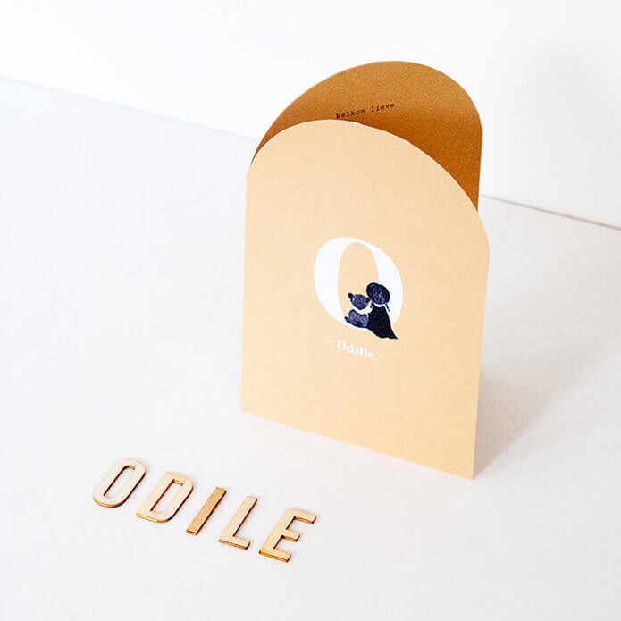 Geboortekaartje meisje met beer boogvorm