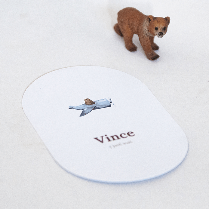 Geboortekaartje Ovaal met vliegtuig