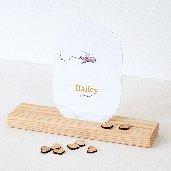 Geboortekaartje ovaal met vliegtuig