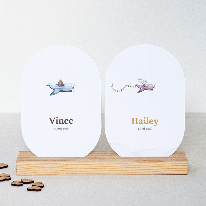 Tweeling geboortekaartjes