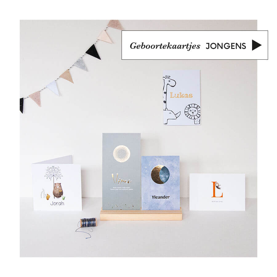geboortekaartjes jongens